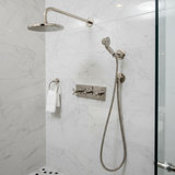 polished nickel shower head with handheld