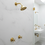 brass shower heads