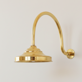 unlacquered brass- hower head with curved arm