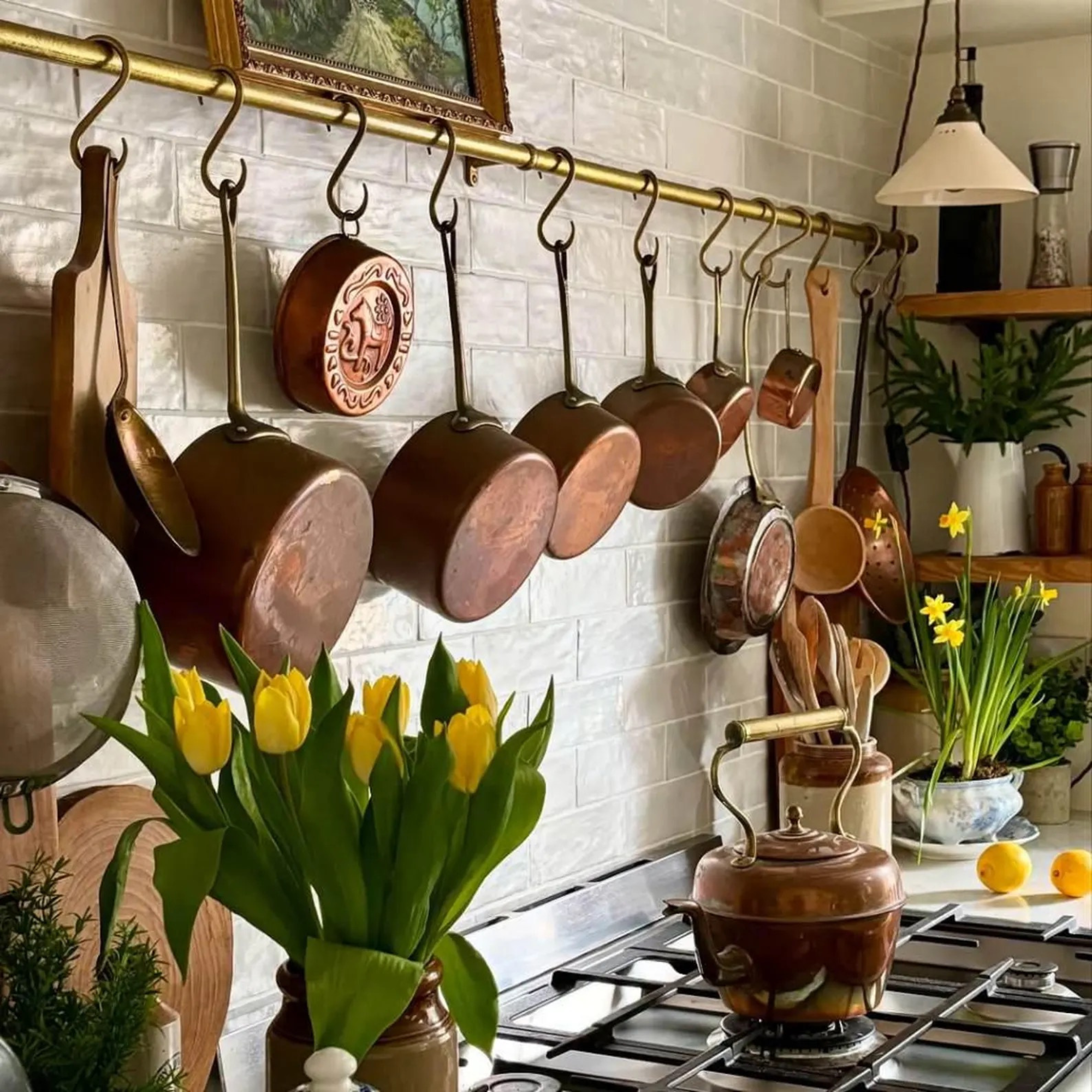 Custom Unlacquered Brass Pot Rail Rack with S Hooks 