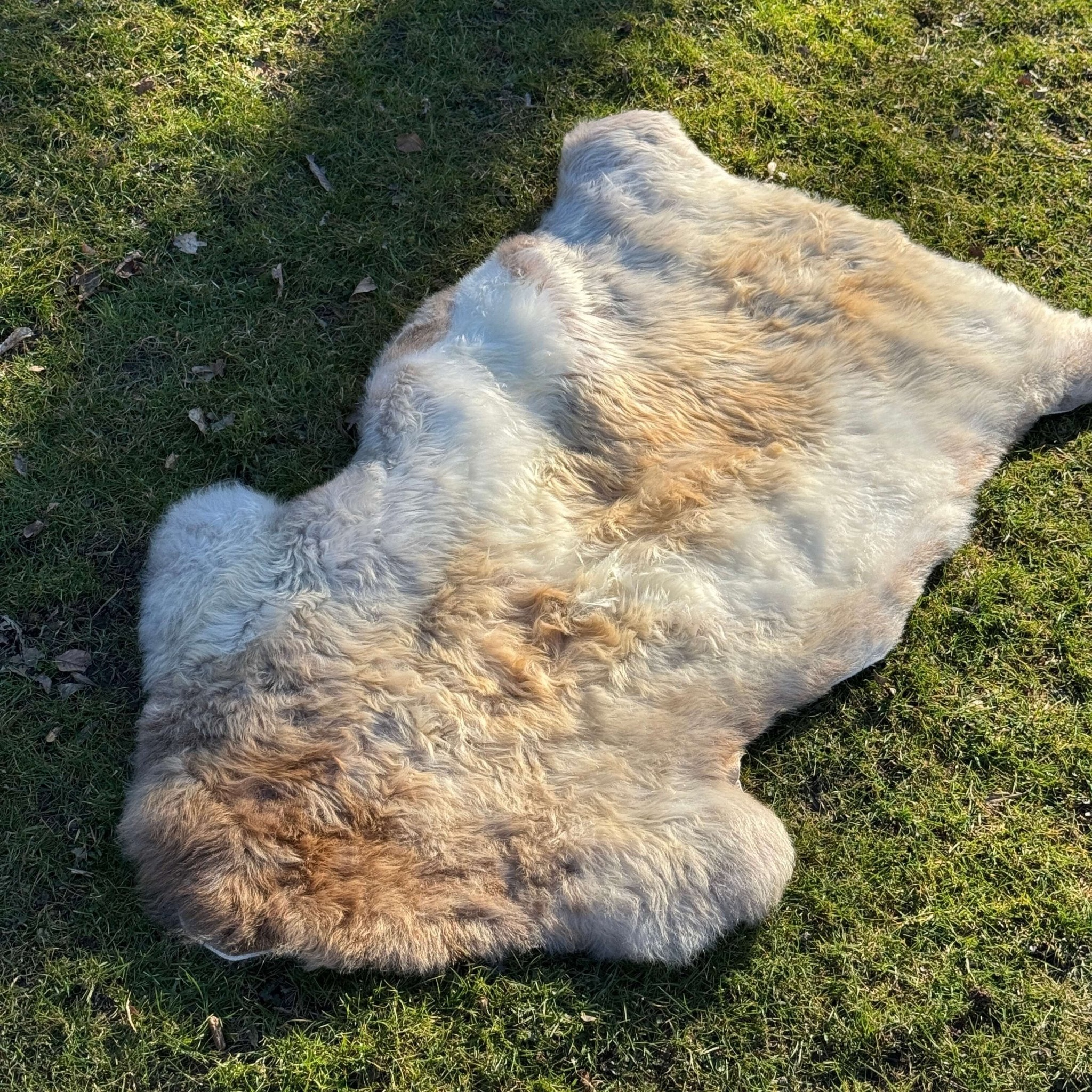 Beautiful Natural Tibetan Lambskin Fur - #product_type # Azulcarpets