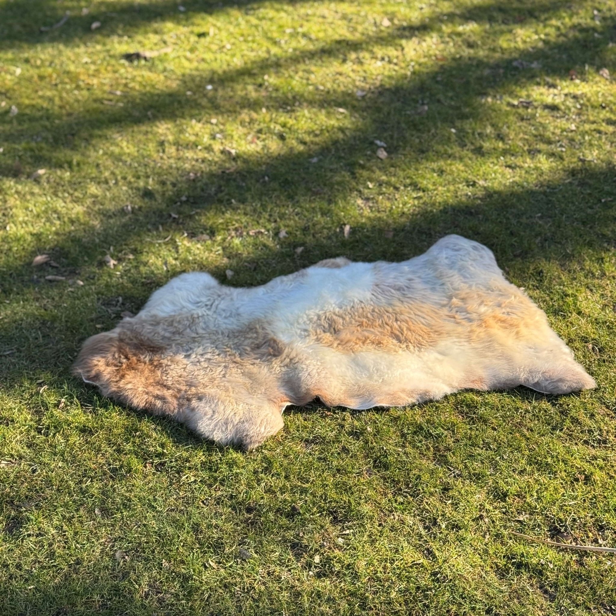 Beautiful Natural Tibetan Lambskin Fur - #product_type # Azulcarpets