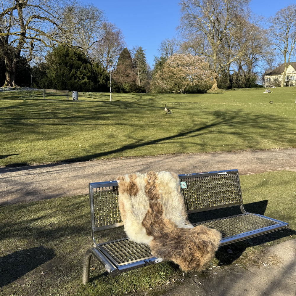 Luxurious Genuine Natural Tibetan Lambskin Fur - sheepskin rugs AzulSouk