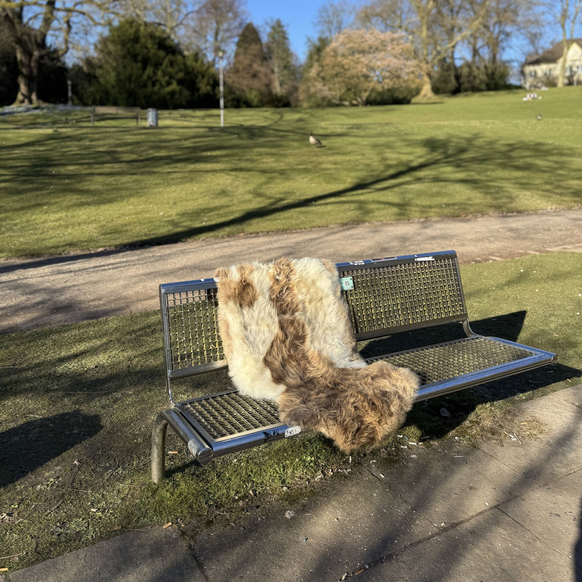 Luxurious Genuine Natural Tibetan Lambskin Fur - sheepskin rugs AzulSouk
