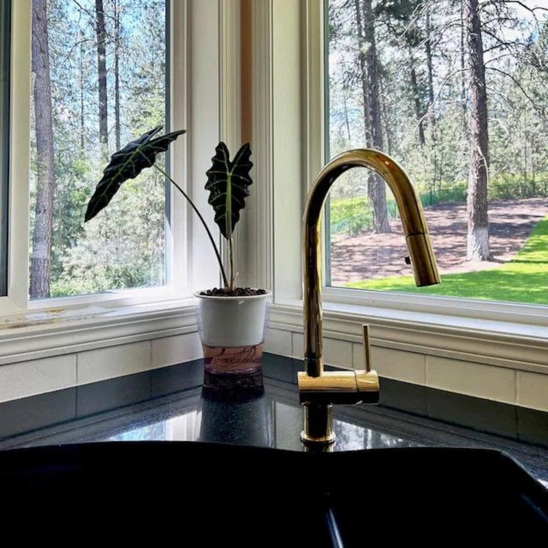 Unlacquered Brass Pull Down Kitchen Faucet-zoom-