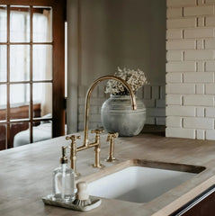 unlacquered brass bridge faucet with sprayer 