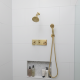 brass shower head and control panel 