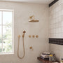 unlacquered-brass-shower-system